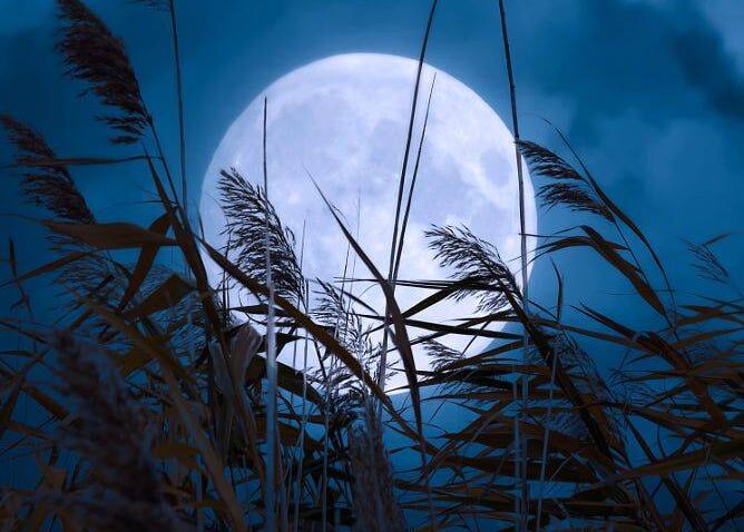 Plavi Mjesec začaraće nebo i nas u noći vještica! Astro sport - 29.10.2020.