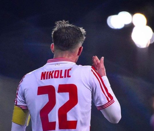 Veljko Nikolić ponovo na treninzima