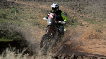 FALKON TEŠKO POVRIJEĐEN: Španca oživljavali u pustinji